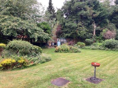 Grounds