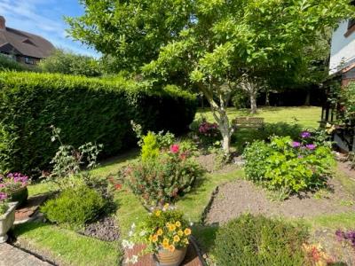 Communal Garden