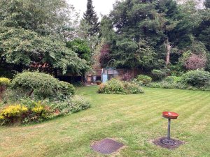 Grounds